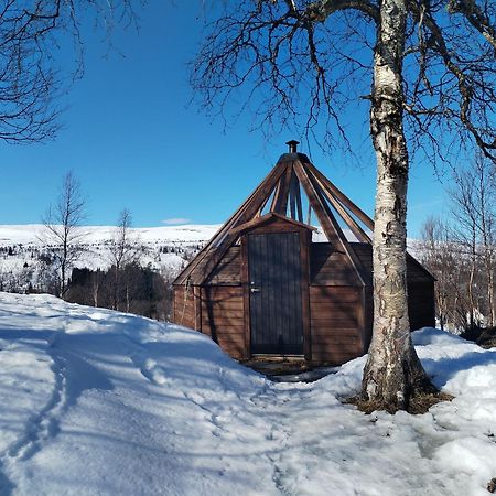Apartmán Hessdalen Ufocamp Vårhus Exteriér fotografie