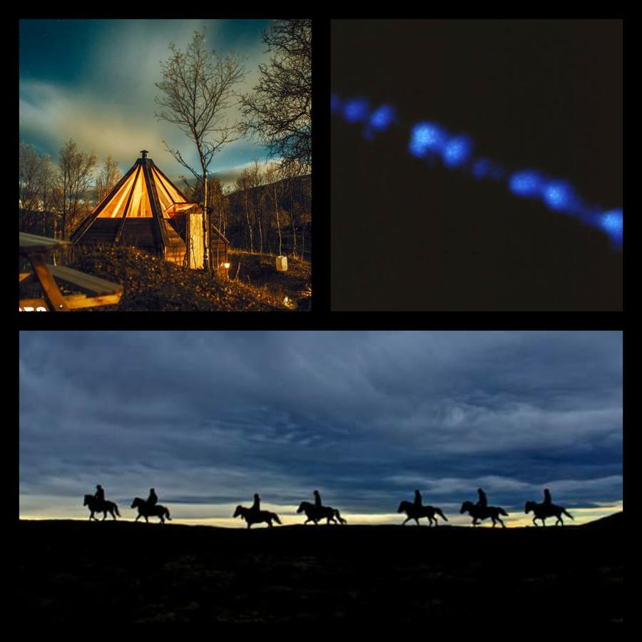 Apartmán Hessdalen Ufocamp Vårhus Exteriér fotografie